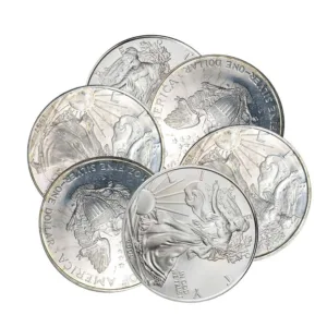 1 oz Silver Low Premium Random Style Coins Varied Condition 1 oz Silver Low Premium Random Style Coins Varied Condition